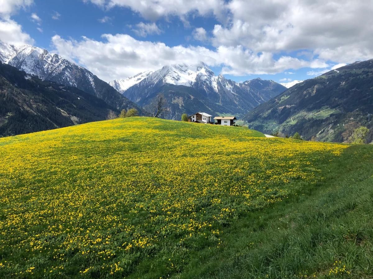 רמסאו אים זילרטל Landhaus Zillertal מראה חיצוני תמונה