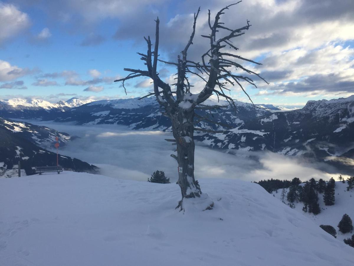 רמסאו אים זילרטל Landhaus Zillertal מראה חיצוני תמונה